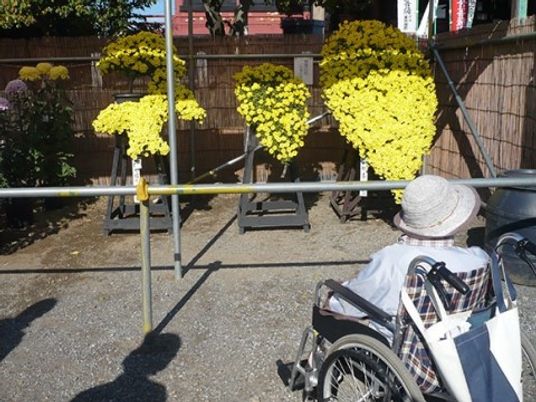 車椅子の人と花の中庭