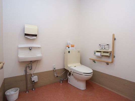 トイレに温水洗浄便座が設置されている。手洗い、ペーパータオルがある。壁にナースコールが設置されている。