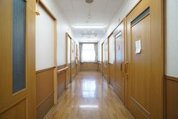 温かみのある廊下の様子