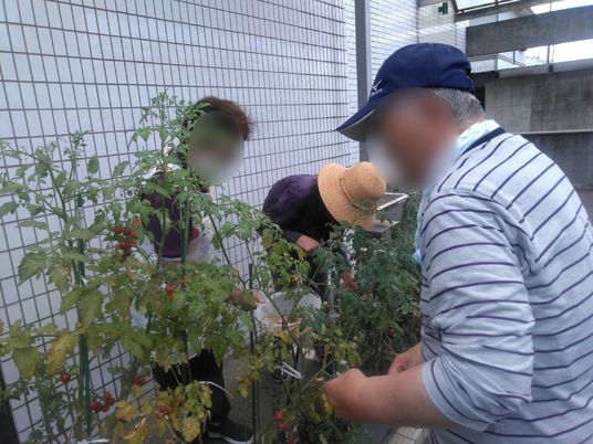 屋外での園芸活動