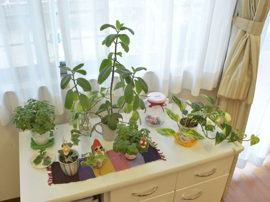 緑豊かな居室の一角