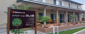 植物に囲まれた建物の庭