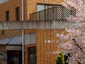 桜と建物の外観  