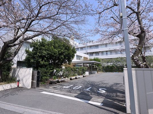 桜並木の外観  