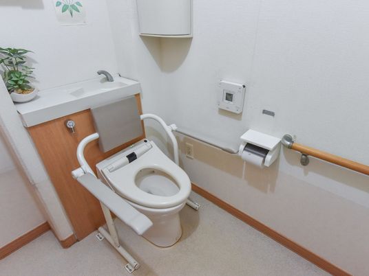 清潔なトイレの設備