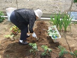 庭で植物の手入れをする人