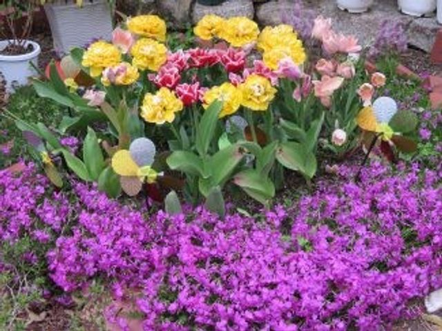 花壇のある庭 庭   色とりどりの花が咲く庭で、施設の雰囲気をやさしく彩っています。季節の変化を感じられる外まわりは、働く場としても心地よさが伝わります。