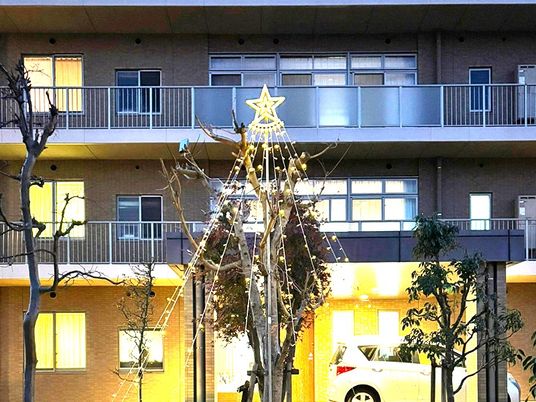 星飾りの外観