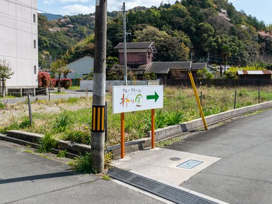 案内看板と緑の風景
