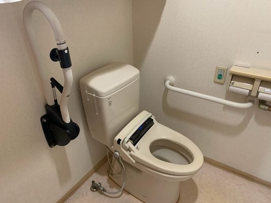 機能的な設備のトイレ