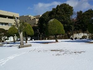 雪の庭園  