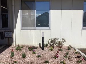 花壇のある外観  