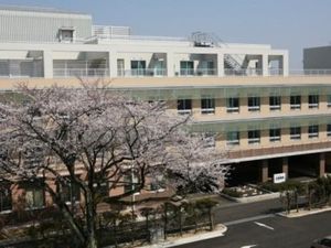 桜と建物の外観  