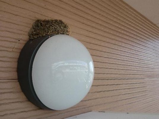 丸型照明のある壁  