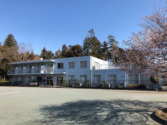 桜のそばの建物外観  