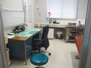 明るい診察スペース  