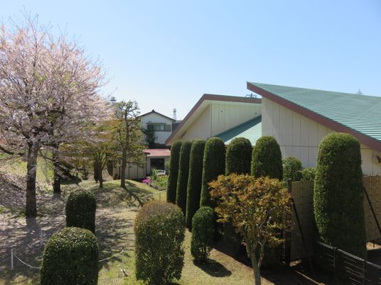 桜と庭のある外観  