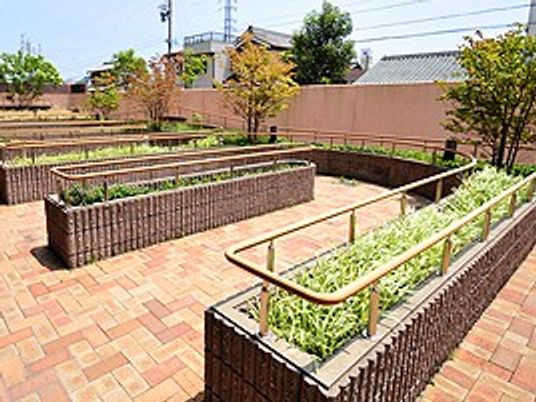 中庭の花壇と通路