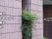 植栽のある建物外観  