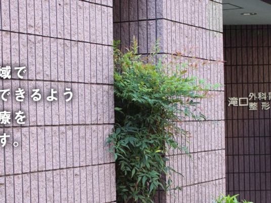 植栽のある建物外観  