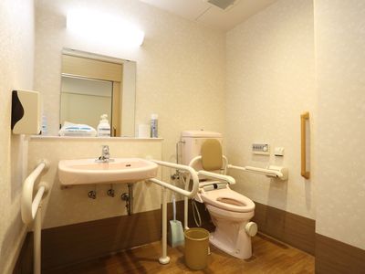 手すり付トイレの内観