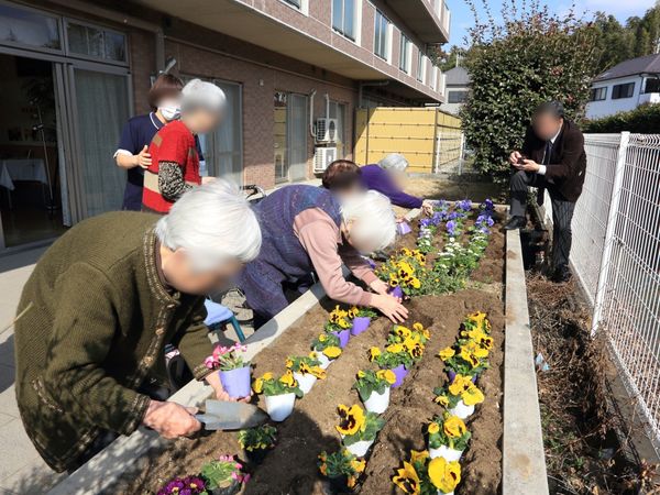 花壇で植物の手入れをする人々