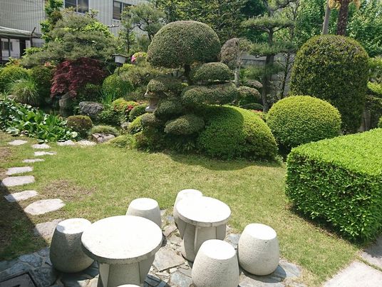 手入れされた庭  