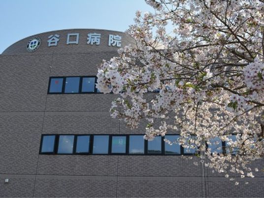 桜と建物外観  