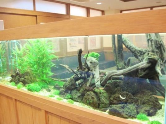 水槽がある廊下  