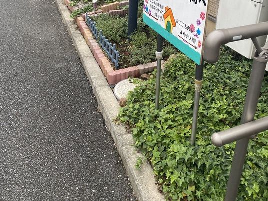 施設前の歩道と植栽  