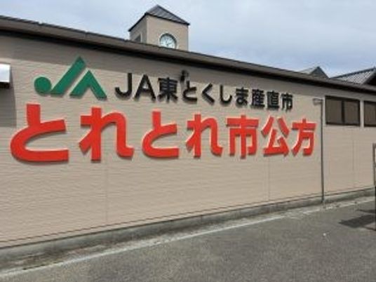 施設外観  