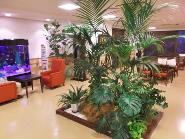 共有スペースの一角 コミュニティスペース 緑豊かな植物と鮮やかな水槽が設置された落ち着いた雰囲気のラウンジです。オレンジのソファが配置され、くつろぎの時間を提供しています。