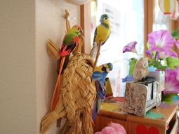 カラフルな小鳥の飾り付け