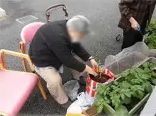 庭の様子