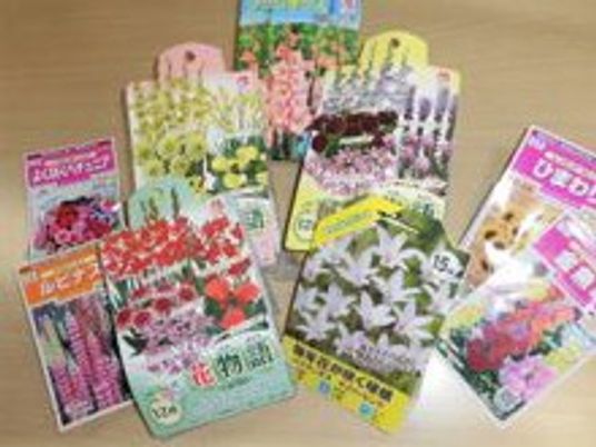 植物の種展示