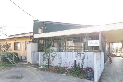 緑の建物と庭