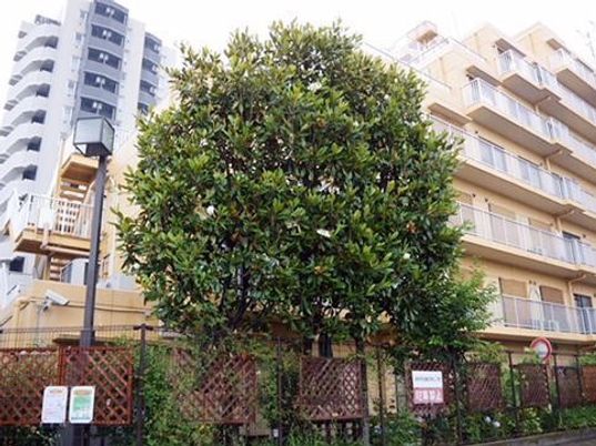 建物前の緑豊かな庭