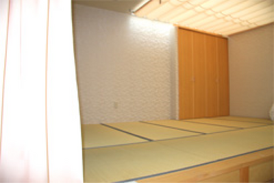 広々とした畳の部屋