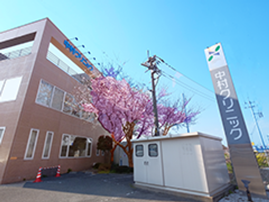 桜のある建物外観  