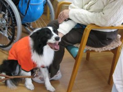 人と犬が座る様子