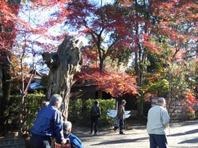 紅葉が美しい庭