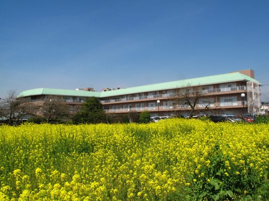 広がる花畑の中庭  