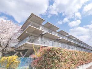 桜と並ぶ建物外観  