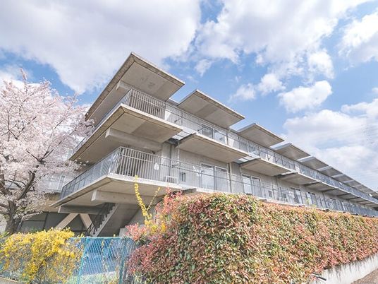 桜と並ぶ建物外観  