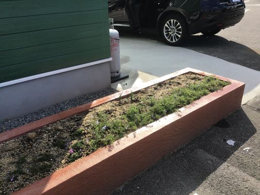 建物前の花壇  