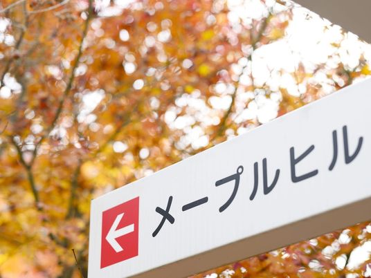 メープルヒルの案内看板  