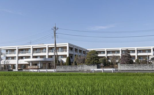 広々とした緑の中観