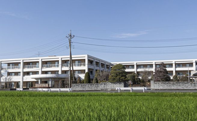 広々とした緑の中観