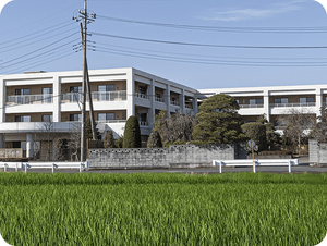 外観の建物  