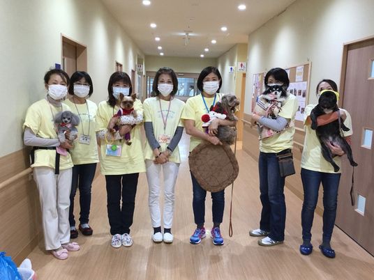 犬と職員の廊下  